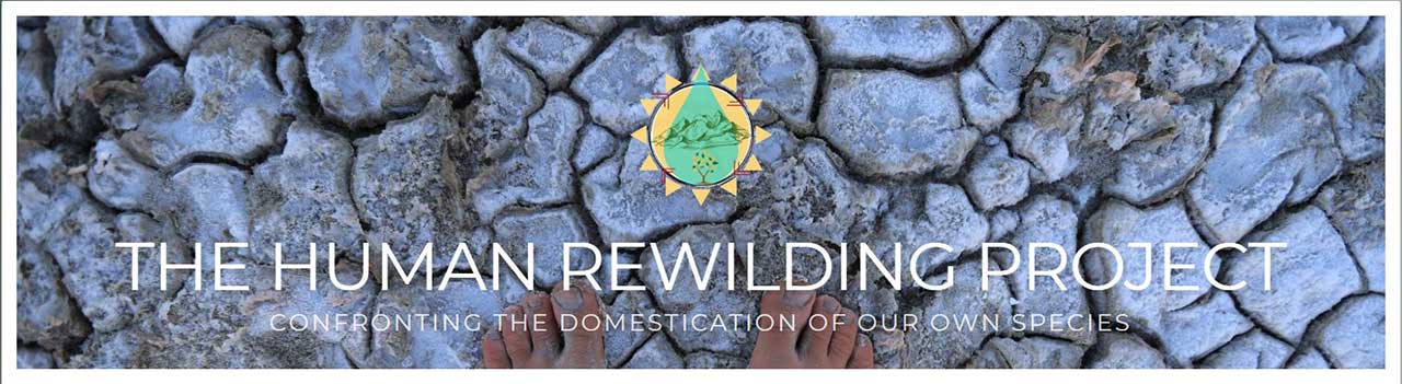 The-Human-Rewilding-Network-Christiane-Howe