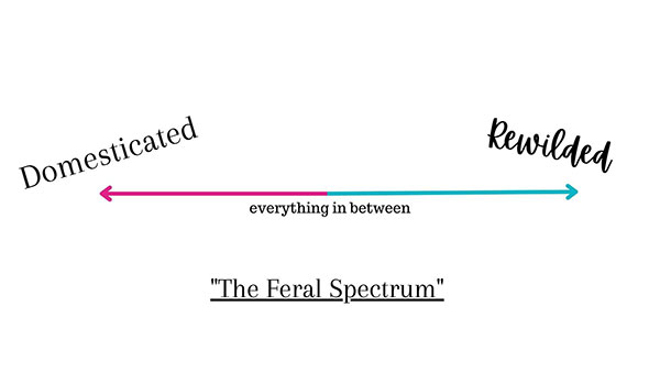The Feral Spectrum