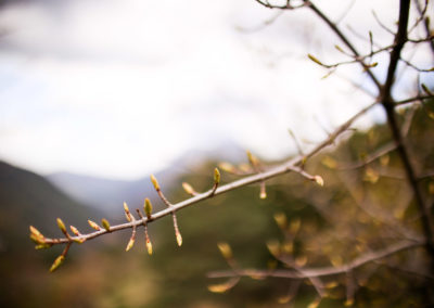 Photographie Nature Sauvage par Christiane Howe