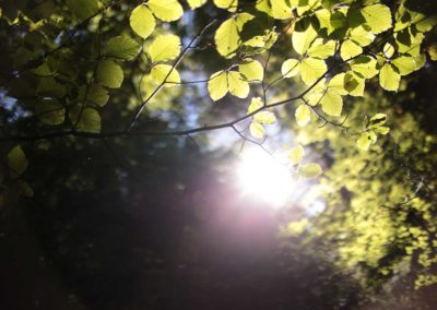 Photographie Nature Sauvage par Christiane Howe