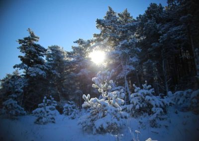 Photographie Nature Sauvage par Christiane Howe