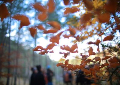 Photographie Nature Sauvage par Christiane Howe