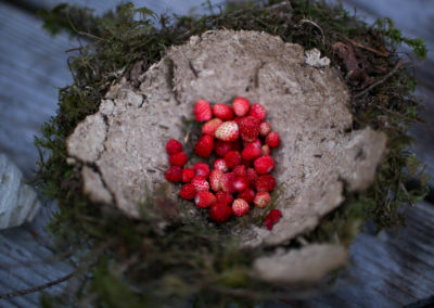 Photographie Nature Sauvage par Christiane Howe