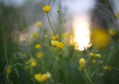 Photographie Nature Sauvage par Christiane Howe