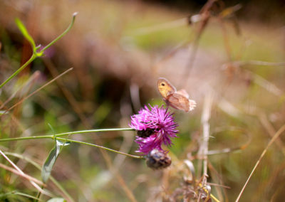 Photographie Nature Sauvage par Christiane Howe